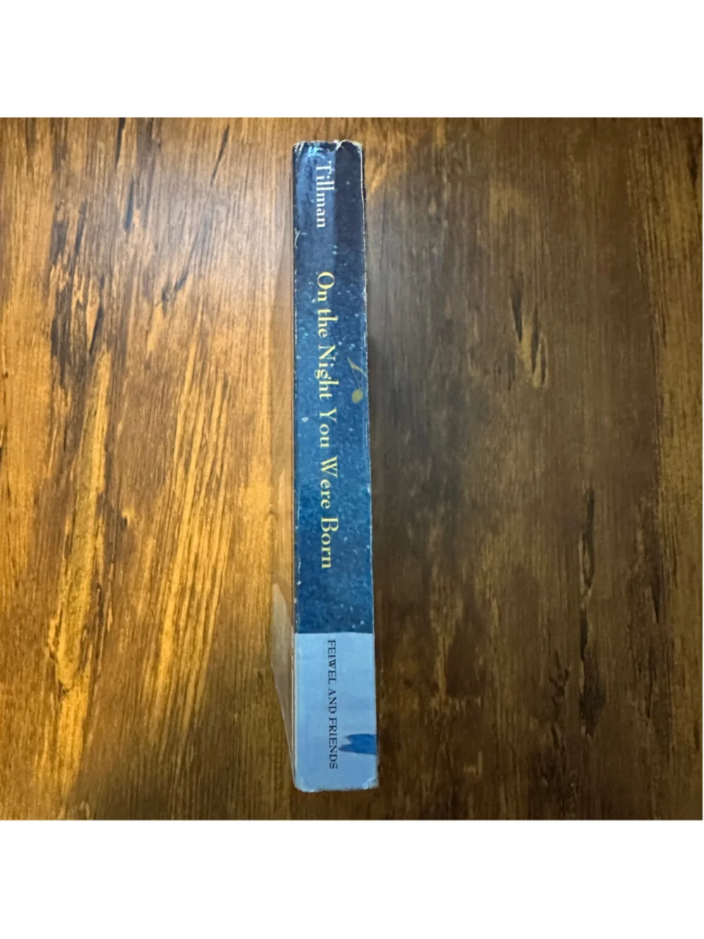 On the Night You Were Born Board Book Nancy Tillman Feiwel & Friends